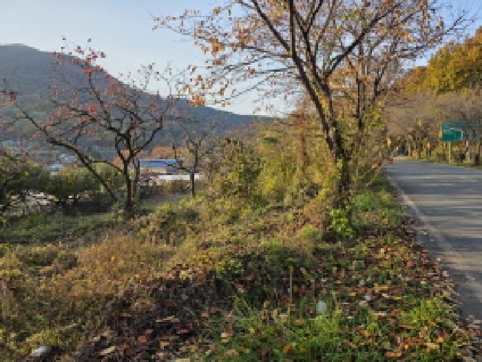 경상북도 청도군 금천면 소천리 466 전 경매 사진 9