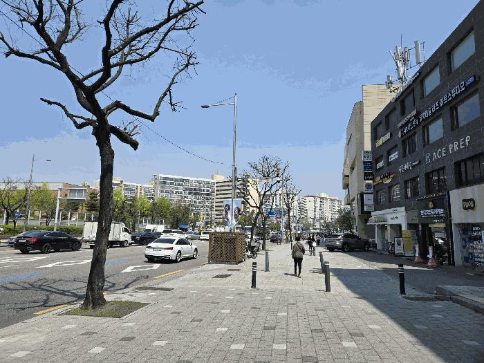 서울특별시 강남구 신사동 617-2 1층 107호 근린상가 경매 사진 2