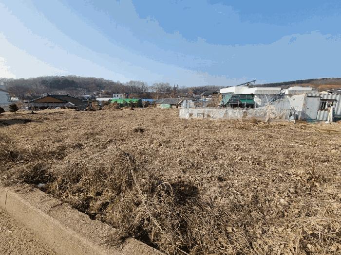 경기도 안산시 단원구 대부동동 1227-3 전 경매 사진 4