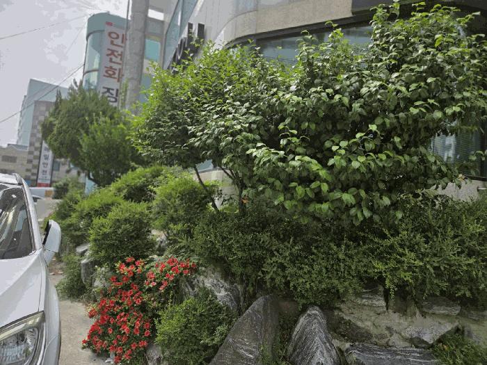 울산광역시 남구 삼산동 1602-4 근린상가 경매 사진 2