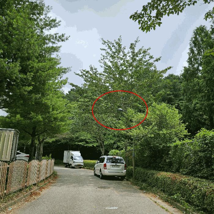 경상남도 양산시 임야
