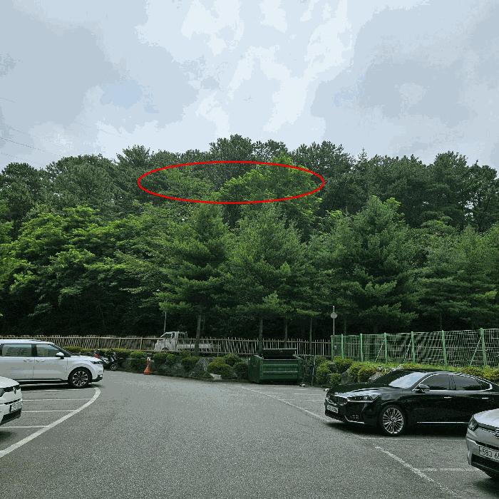 경상남도 양산시 삼호동 산44 임야 경매 사진 2