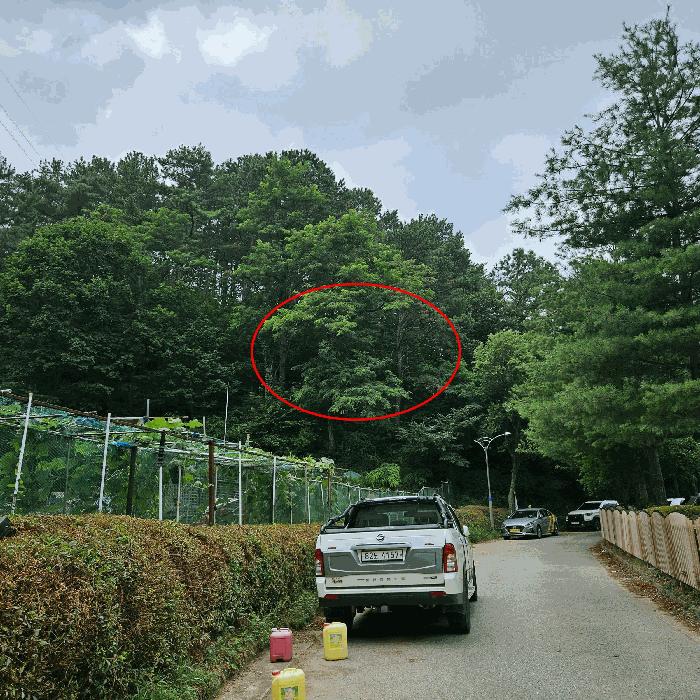 경상남도 양산시 삼호동 산44 임야 경매 사진 3