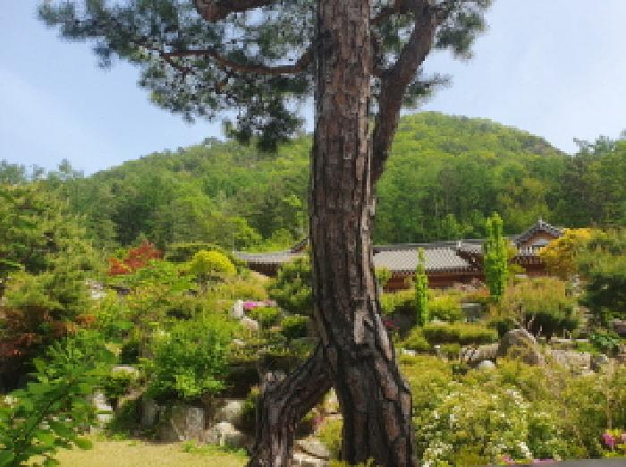 경기도 가평군 설악면 선촌리 275-3 근린시설 경매 사진 17