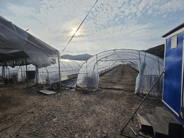 대구광역시 달성군 다사읍 이천리 217 답 경매 사진 7