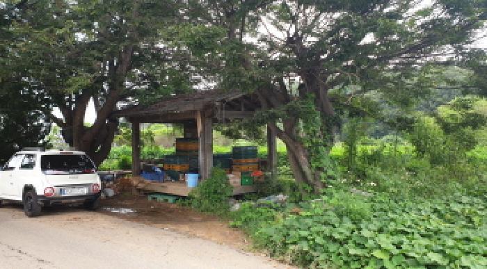 경기도 김포시 하성면 후평리 219-1 전 경매 사진 4