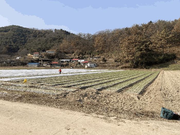 경상남도 의령군 낙서면 내제리 74 답 경매 사진 2
