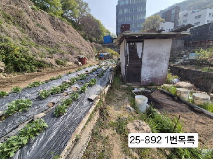 부산광역시 북구 만덕동 378 답 경매 사진 5