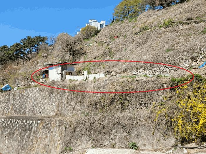 부산광역시 사상구 주례동 산37-2 임야 경매 사진 2