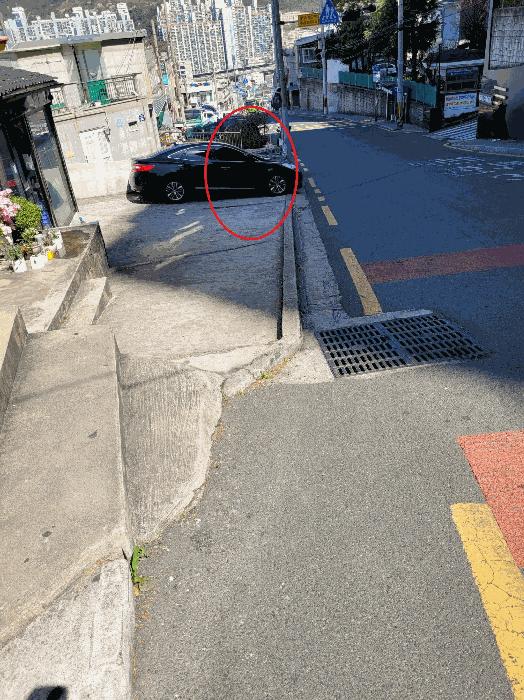 부산광역시 사상구 주례동 산37-2 임야 경매 사진 3
