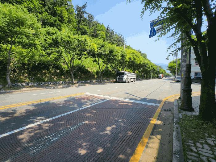 부산광역시 강서구 지사동 산190-1 임야 경매 사진 3