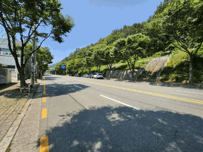 부산광역시 강서구 지사동 산190-1 임야 경매 사진 6