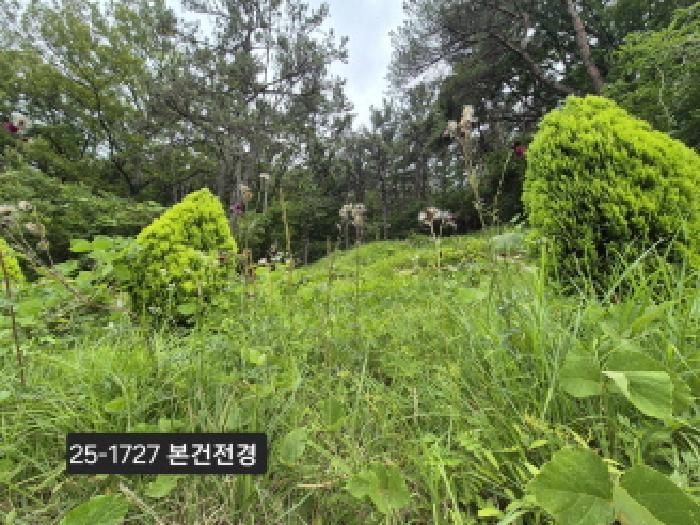 부산광역시 강서구 지사동 산190-1 임야 경매 사진 9