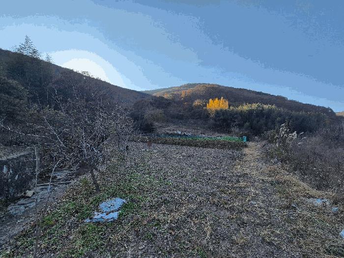 경상남도 의령군 전