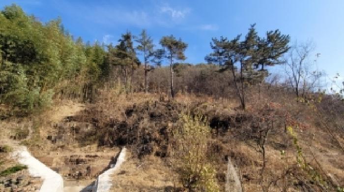 경상남도 의령군 정곡면 중교리 1417 임야 경매 사진 15