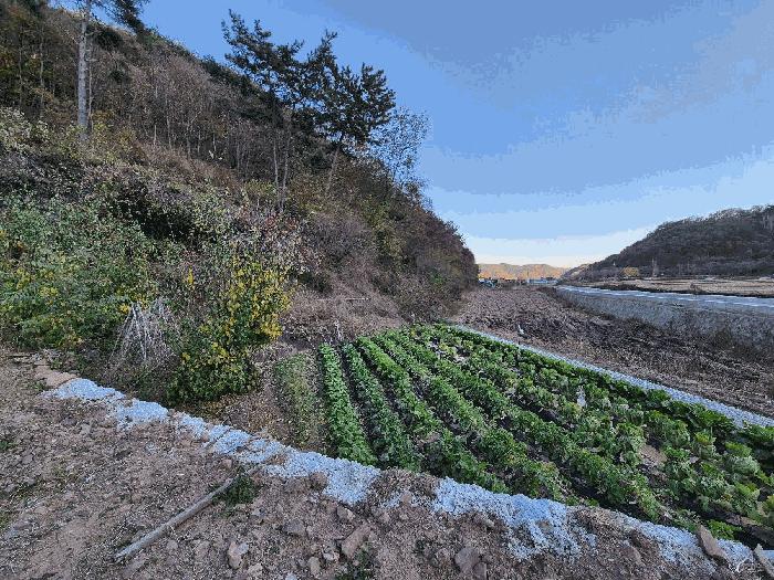 경상남도 의령군 정곡면 중교리 1417 임야 경매 사진 7