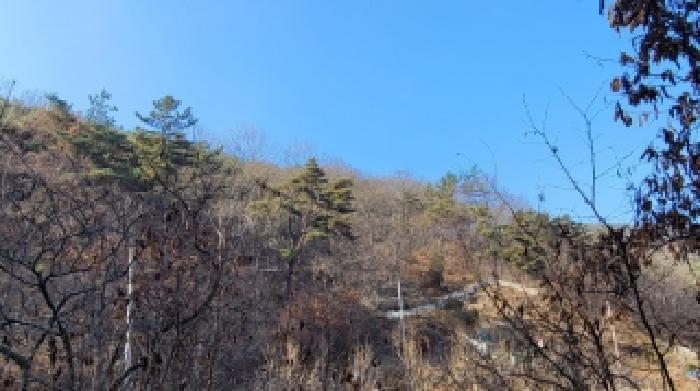 경상남도 의령군 정곡면 중교리 1098 임야 경매 사진 17