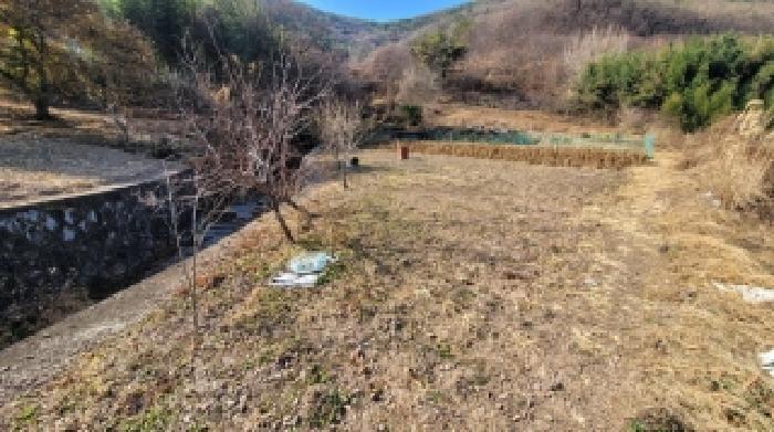 경상남도 의령군 정곡면 중교리 1098 임야 경매 사진 18