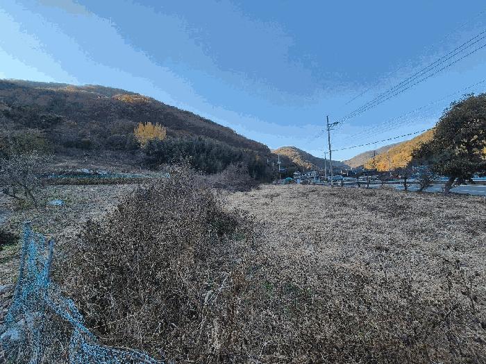 경상남도 의령군 정곡면 중교리 1055-6 대지 경매 사진 3