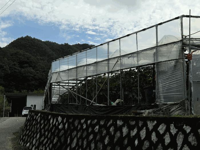 경상북도 김천시 남면 옥산리 15 전 경매 사진 2