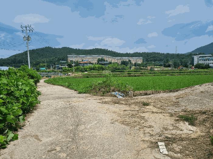경상북도 구미시 산동읍 인덕리 96 답 경매 사진 1