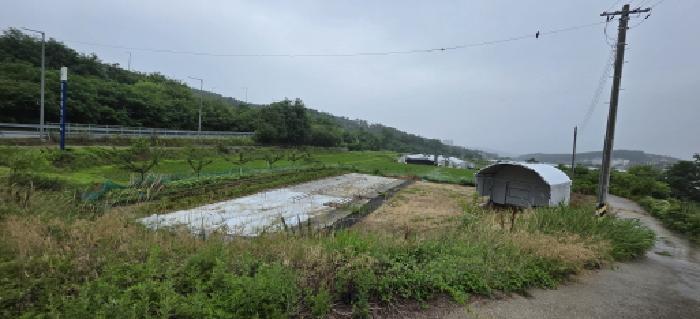 경상북도 구미시 산동읍 인덕리 96 답 경매 사진 10