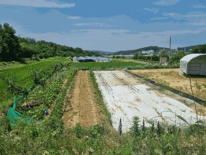 경상북도 구미시 산동읍 인덕리 412-2 답 경매 사진 4