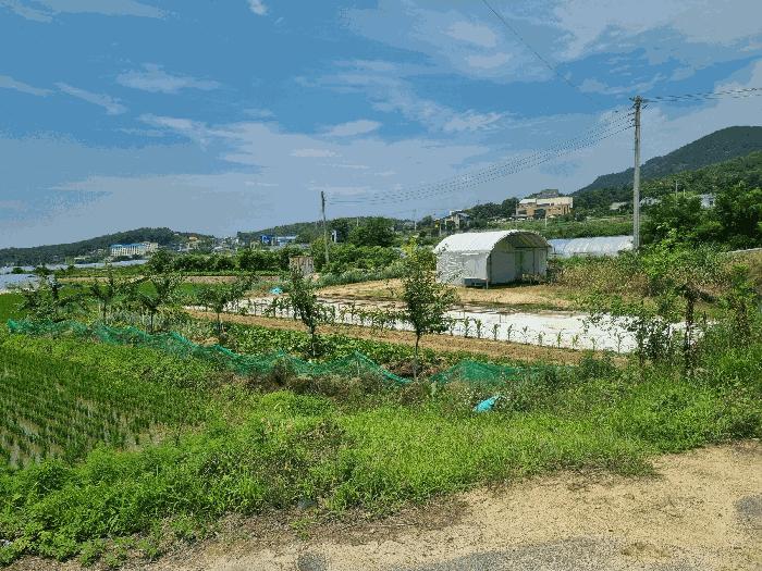 경상북도 구미시 산동읍 인덕리 412-2 답 경매 사진 6