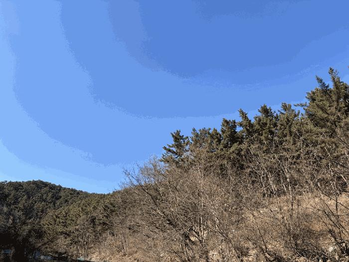 경상북도 울진군 평해읍 거일리 산140 임야 경매 사진 4