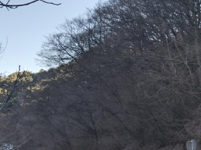 경상북도 울진군 평해읍 학곡리 산48-1 임야 경매 사진 20