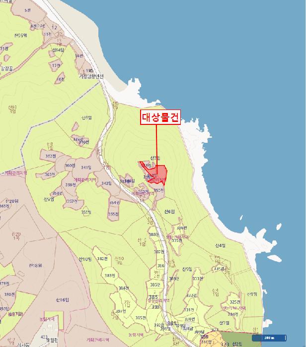 경상북도 울진군 기성면 사동리 347 임야 경매 사진 11