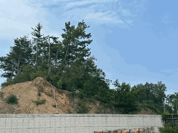 경상북도 울진군 후포면 삼율리 530-74 임야 경매 사진 3
