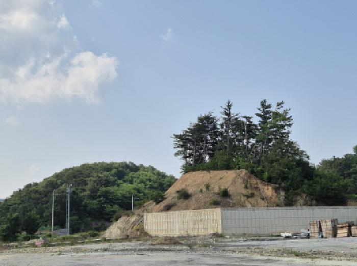경상북도 울진군 후포면 삼율리 530-74 임야 경매 사진 7