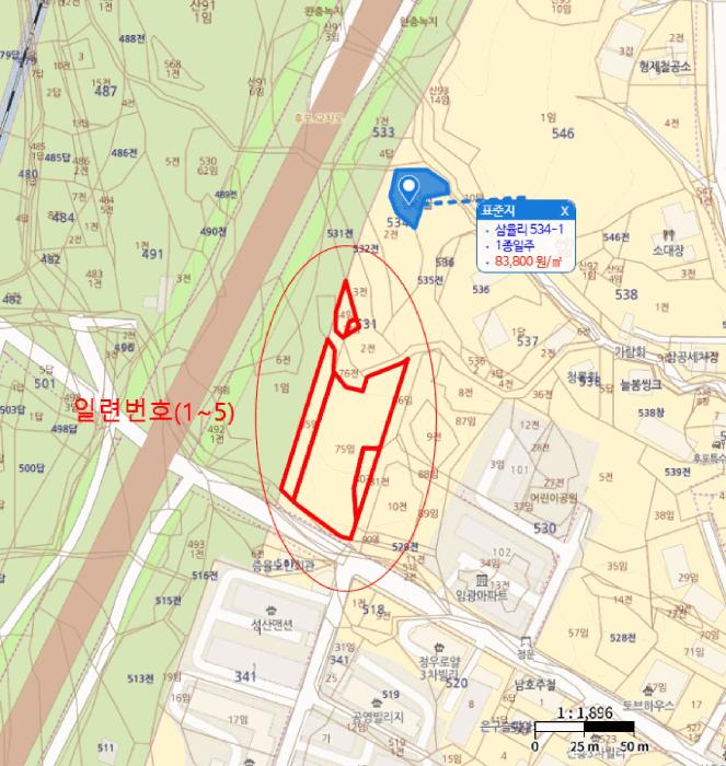 경상북도 울진군 후포면 삼율리 530-74 임야 경매 사진 8