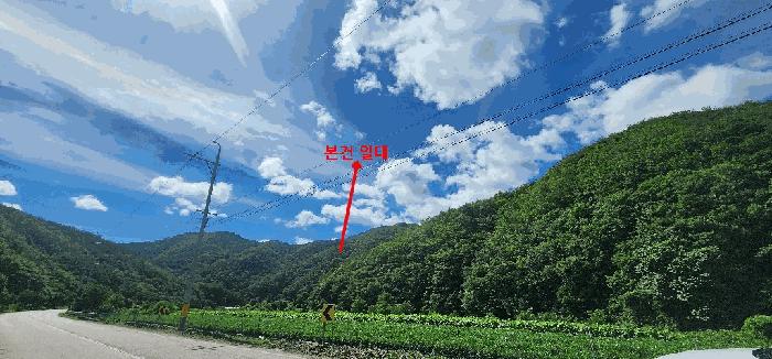 경상북도 영덕군 남정면 도천리 산159 임야 경매 사진 2