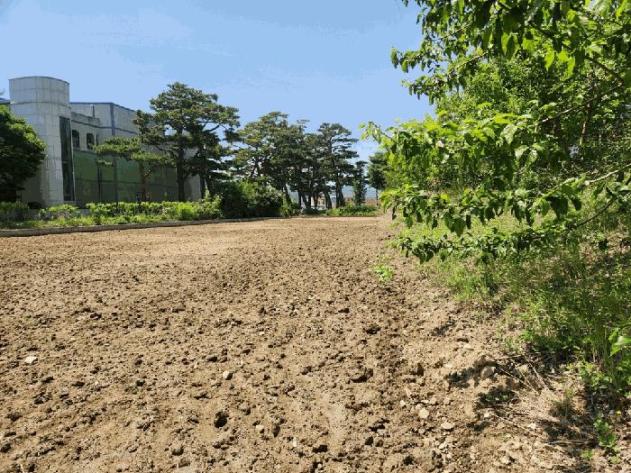 경상북도 울진군 북면 부구리 855-4 답 경매 사진 1