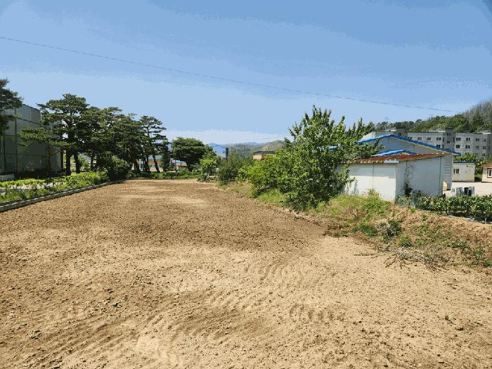 경상북도 울진군 북면 부구리 855-4 답 경매 사진 3