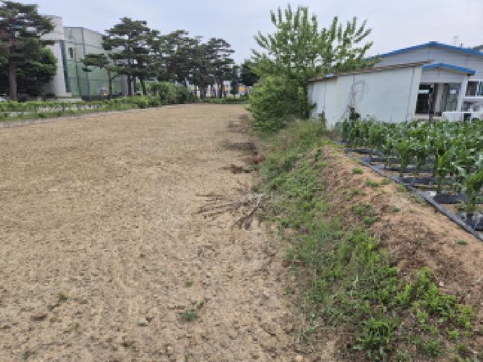 경상북도 울진군 북면 부구리 855-4 답 경매 사진 4