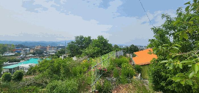 경상북도 영덕군 영해면 성내리 750-4 전 경매 사진 7