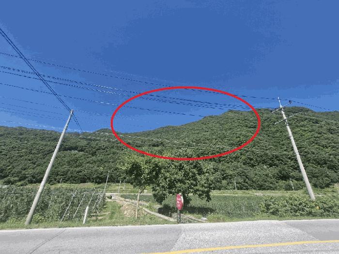 강원 정선군 임야