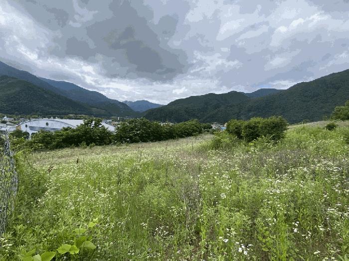 강원특별자치도 정선군 여량면 여량리 374 전 경매 사진 1