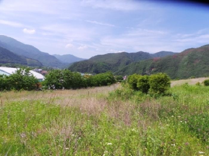강원특별자치도 정선군 여량면 여량리 374 전 경매 사진 4