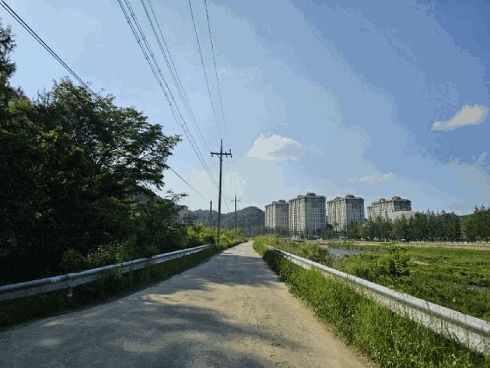 강원특별자치도 평창군 대관령면 수하리 산85-7 임야 경매 사진 2