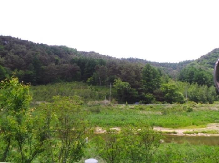 강원특별자치도 평창군 대관령면 수하리 산85-7 임야 경매 사진 4