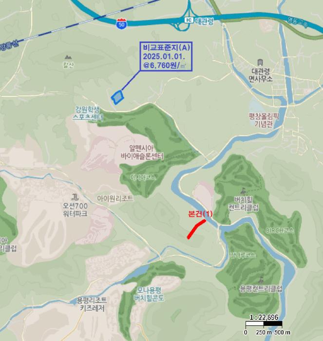 강원특별자치도 평창군 대관령면 수하리 산85-7 임야 경매 사진 6