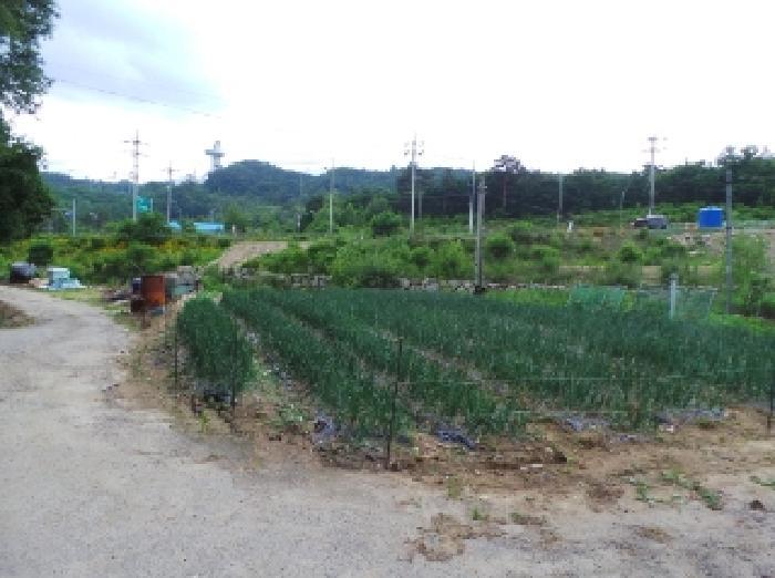 강원특별자치도 평창군 대관령면 수하리 204-9 대지 경매 사진 11