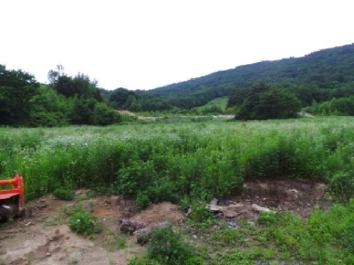 강원특별자치도 평창군 대관령면 수하리 204-9 대지 경매 사진 16