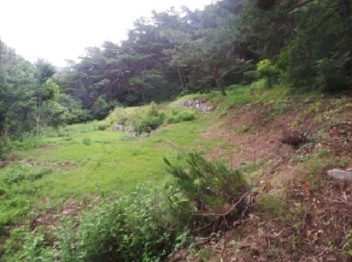 강원특별자치도 영월군 남면 조전리 570-1 전 경매 사진 6