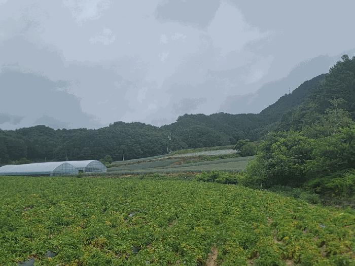 강원특별자치도 평창군 진부면 송정리 1801-2 전 경매 사진 3