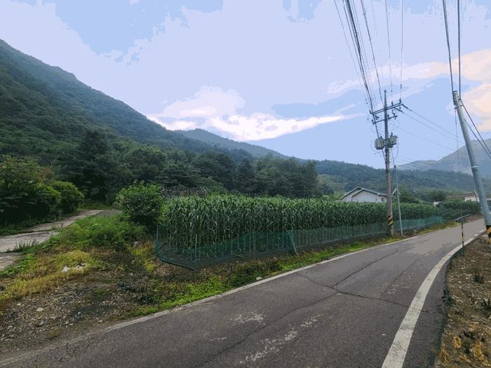 강원 평창군 전